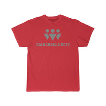 Load image into Gallery viewer, Diamondale Boys tee (grey)
