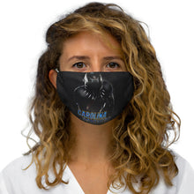 Load image into Gallery viewer, Carolina Panthers Polyester Mask